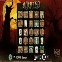 Wanted Dead or a Wild Spelen
